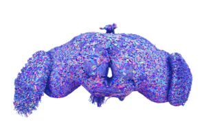 Why you should care about scientists mapping the fruit fly’s brain